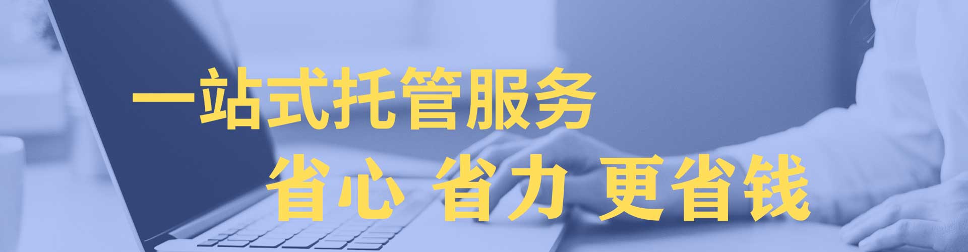 阳明竞价托管
